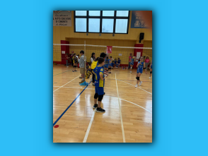 Volley S3 Malnate 26.04.26 (39).jpg